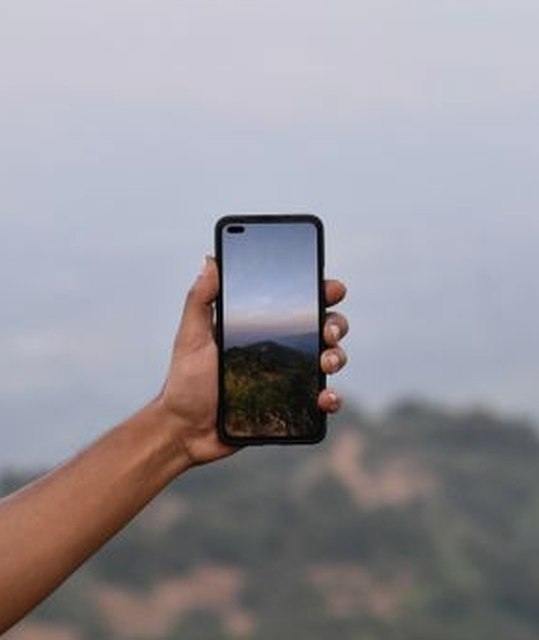 chắn New88